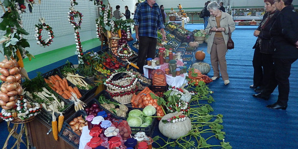 Expozitia-de-legume-Zoldsegkiallitas-Vegetable-exposition