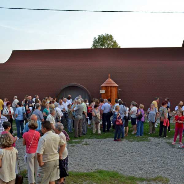 Teatrul-sura-Csurszinhaz-Barn-theatre