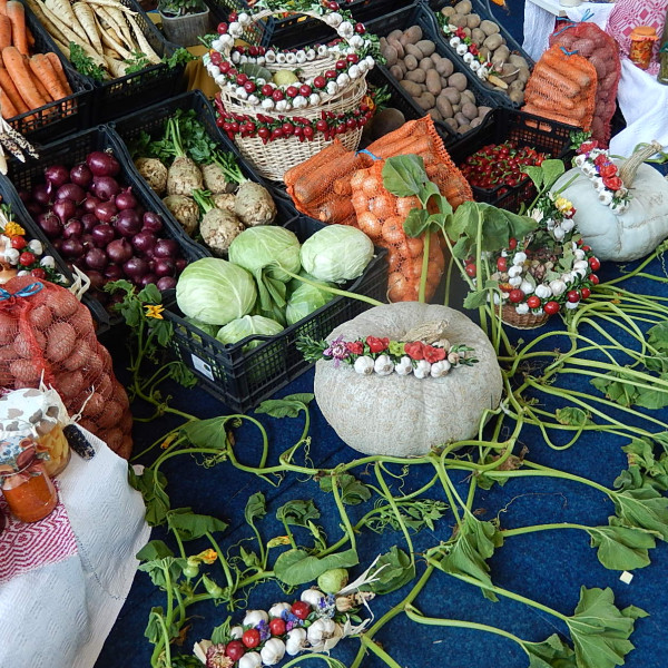 Expozitia-de-legume-Zoldsegkiallitas-Vegetable-exposition