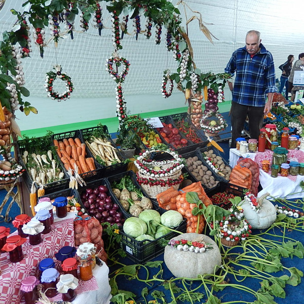 Expozitia-de-legume-Zoldsegkiallitas-Vegetable-exposition