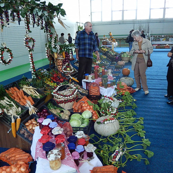 Expozitia-de-legume-Zoldsegkiallitas-Vegetable-exposition